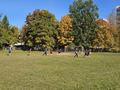 Итоги шестого школьного дня 03.10.2026